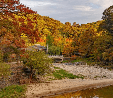 단풍여행 당일 단풍버스여행