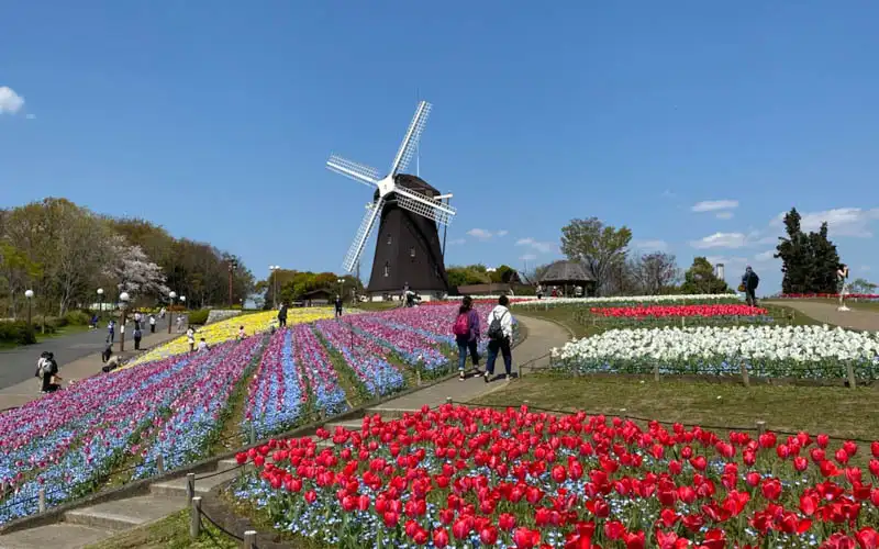 하나하쿠 기념공원 츠루미 녹지 (花博記念公園 鶴見緑地)