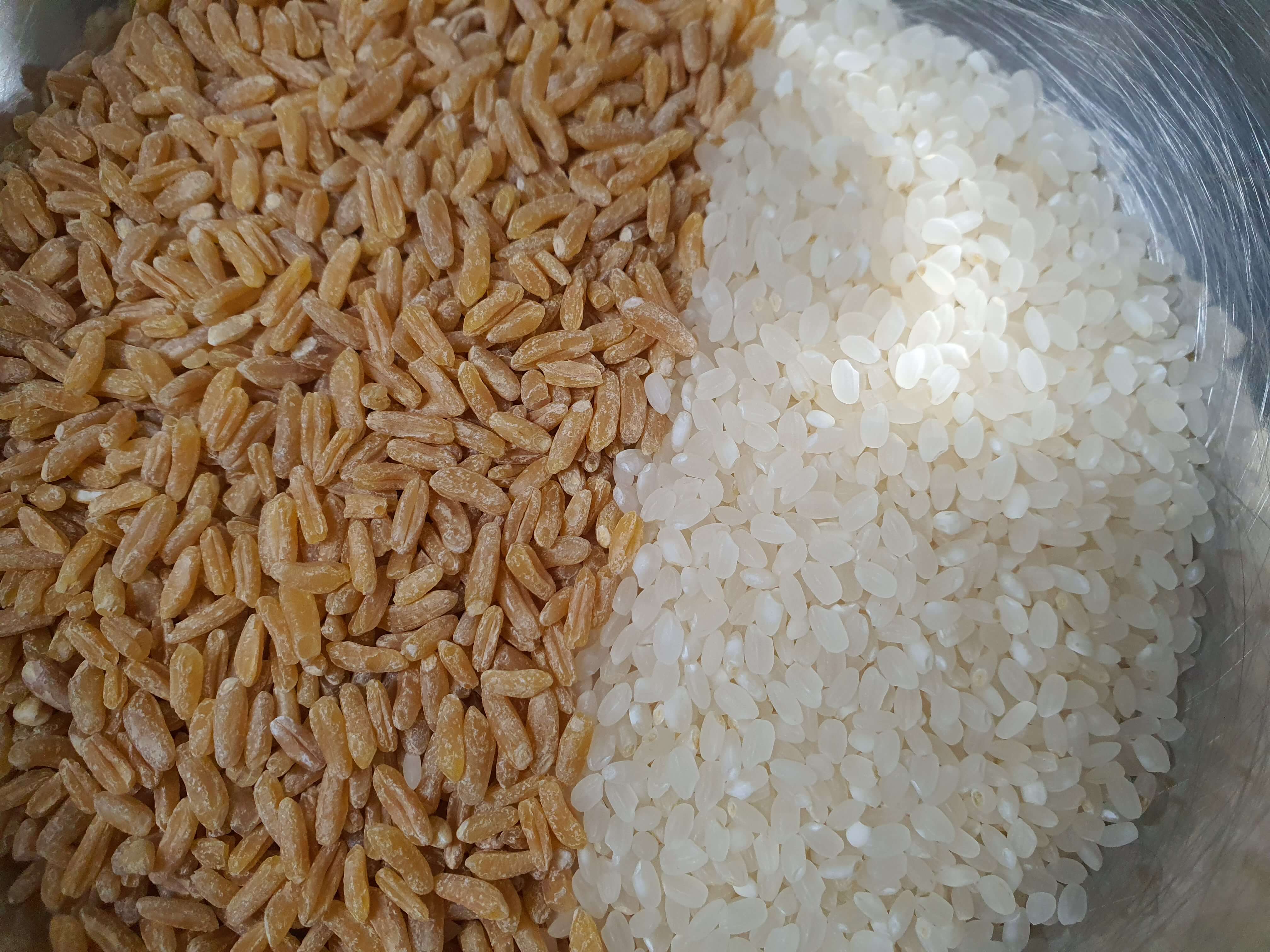 카무트-백미-사진