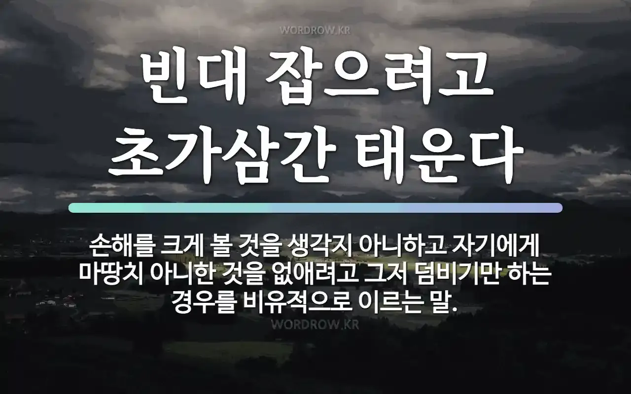 속담 빈대 잡으려고 초가삼간 태운다 의미와 예시_6