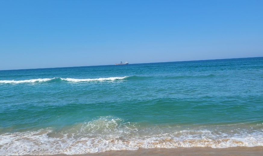 동해안 해수욕장 관련 사진