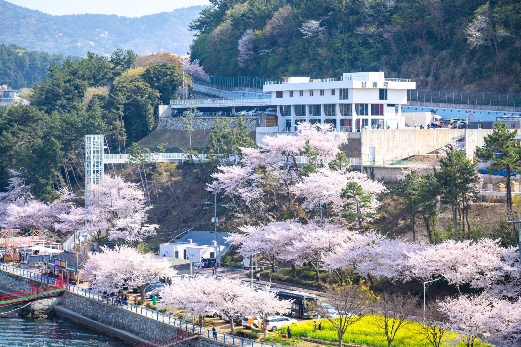 남해대교 입구 벚꽃길과 유체