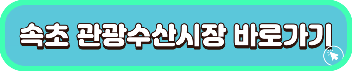 속초-관광-수산-시장