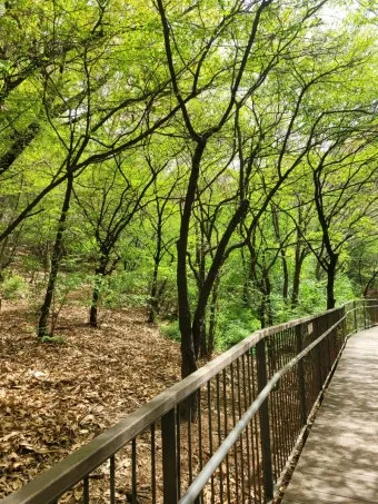 서울 산책로 경로 대중교통 화장실 위치 벤치 쉼터_5