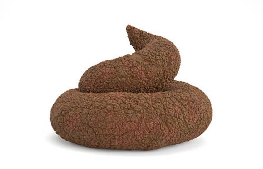 똥 먹는 꿈해몽