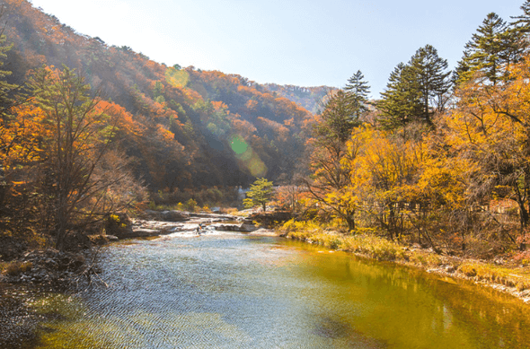 단풍여행 당일 단풍버스여행