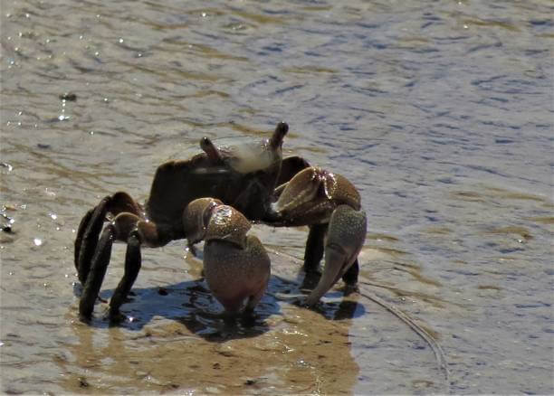 드르니항 맛집부터 튤립축제까지