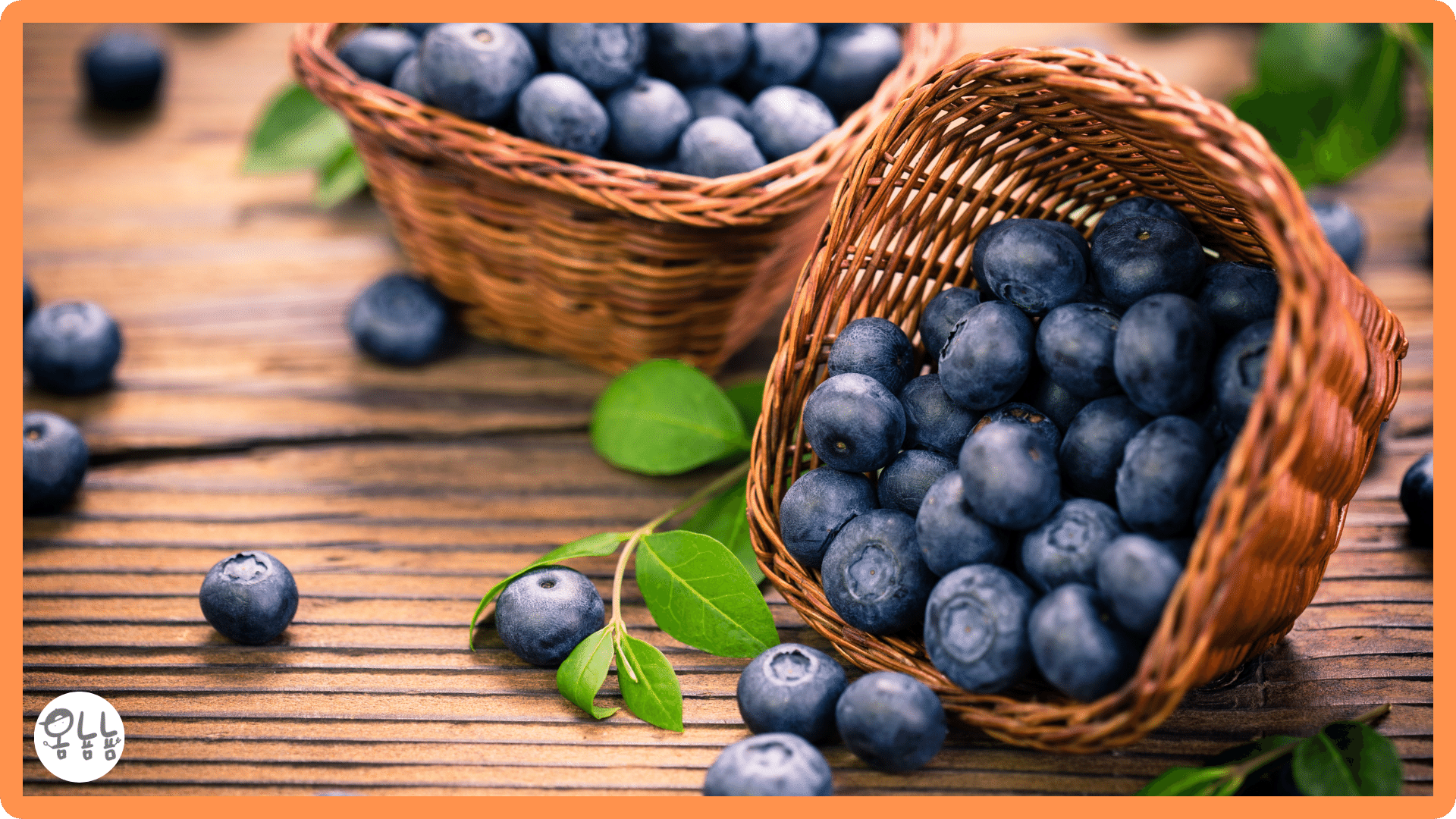 염증에 좋은 음식