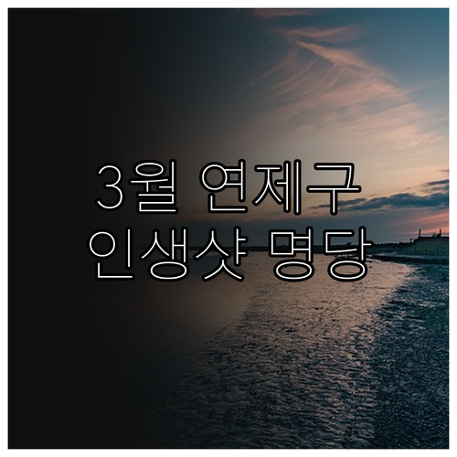부산 연제구 3월 여행지 추천 온천천..