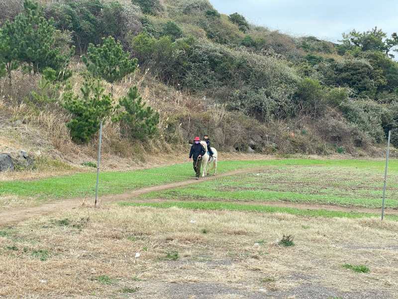 제주도-가볼만한곳