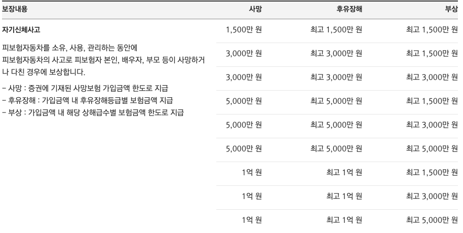 메리츠다이렉트자동차보험_보장내용