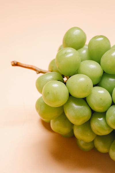 샤인머스켓 사진