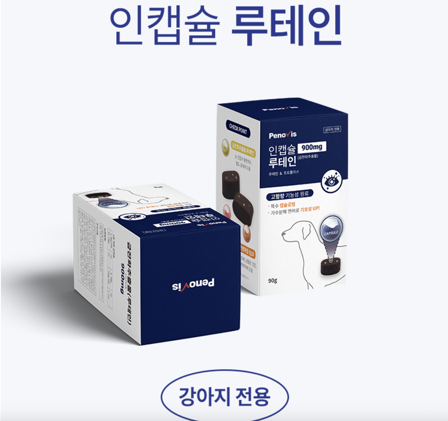 후기 많은 강아지 백내장 눈 영양제 3종 비교 추천 관련 사진