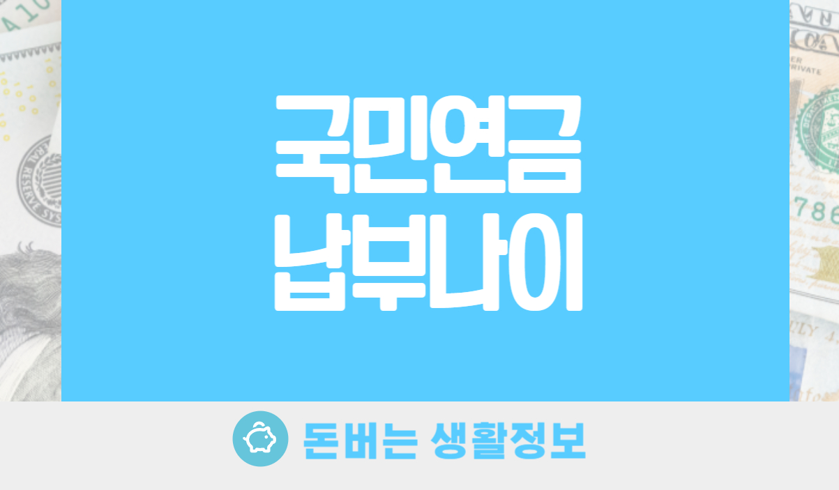 국민연금 납부나이