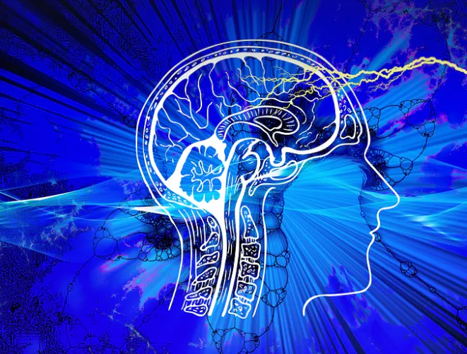 냉동-블루베리-효능-먹는-방법-세척법-건강