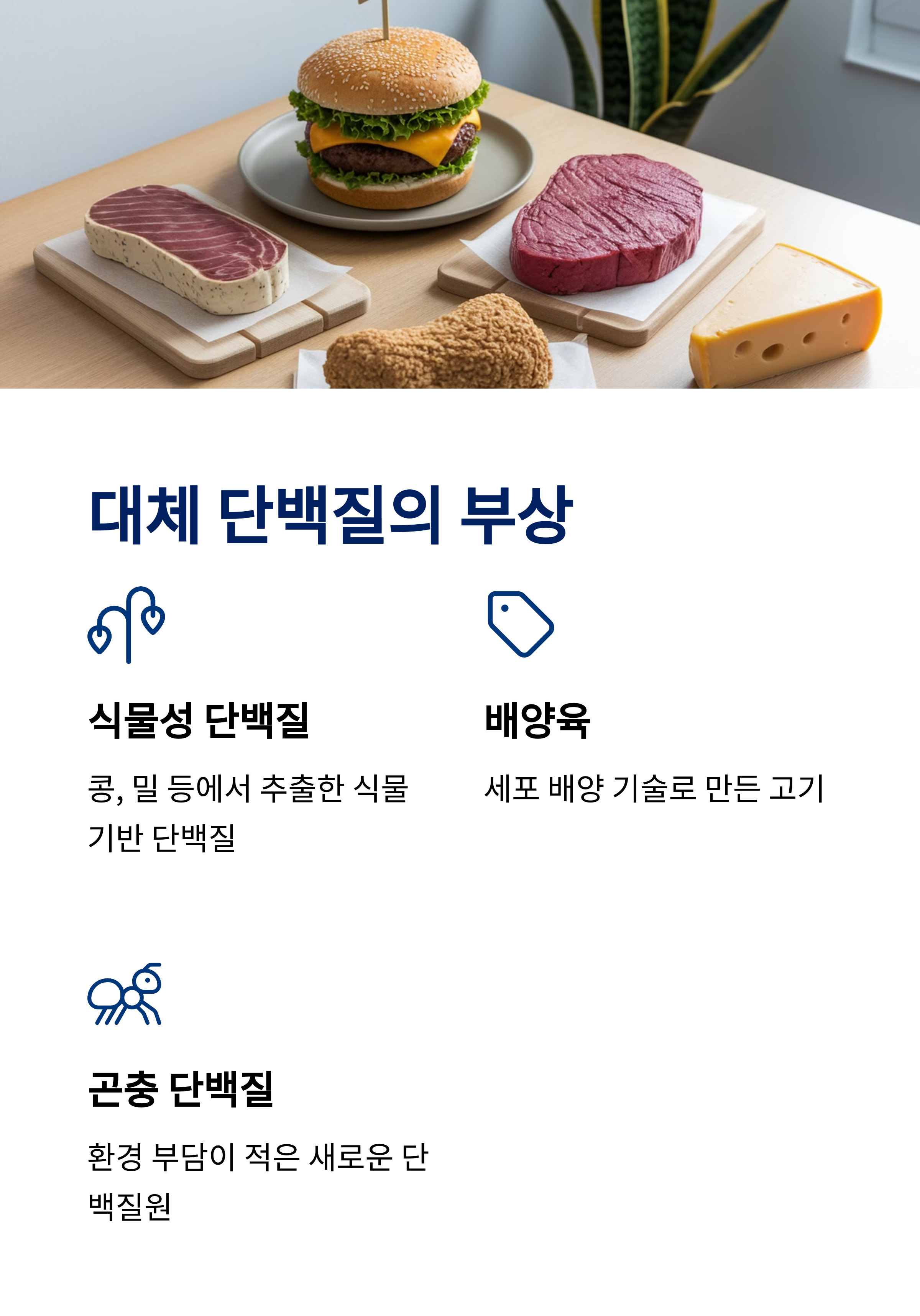 대체단백질시대 미래식품혁명