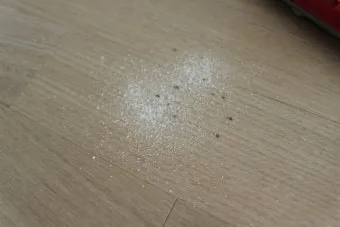 침구 진드기 햇볕 건조와 고온 살균 보관법_5