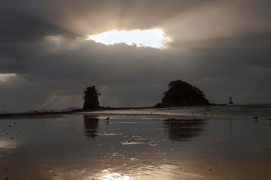 미국 서부 여행 일정표