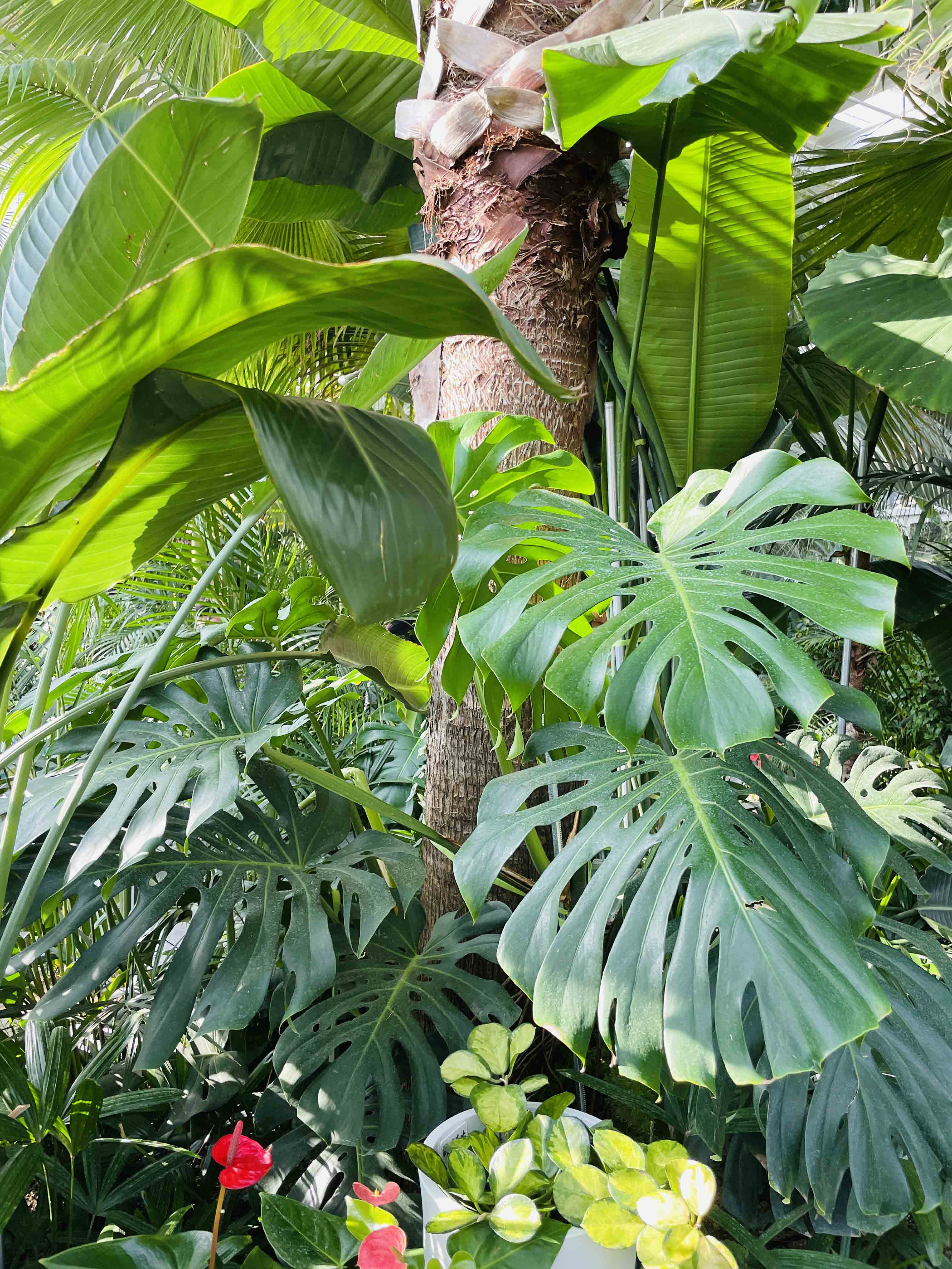 문지리535 파주 맛집