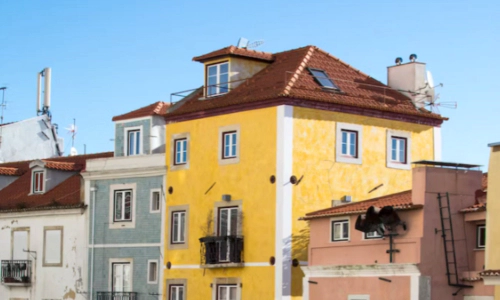 집에 바퀴벌레 있는지 없는지 확인하는 방법 (바퀴벌레 종류)