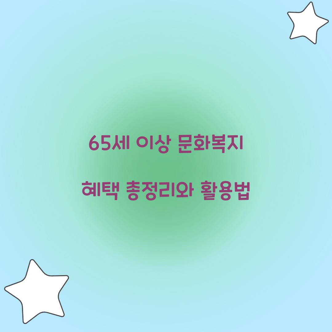 65세 이상 문화복지
