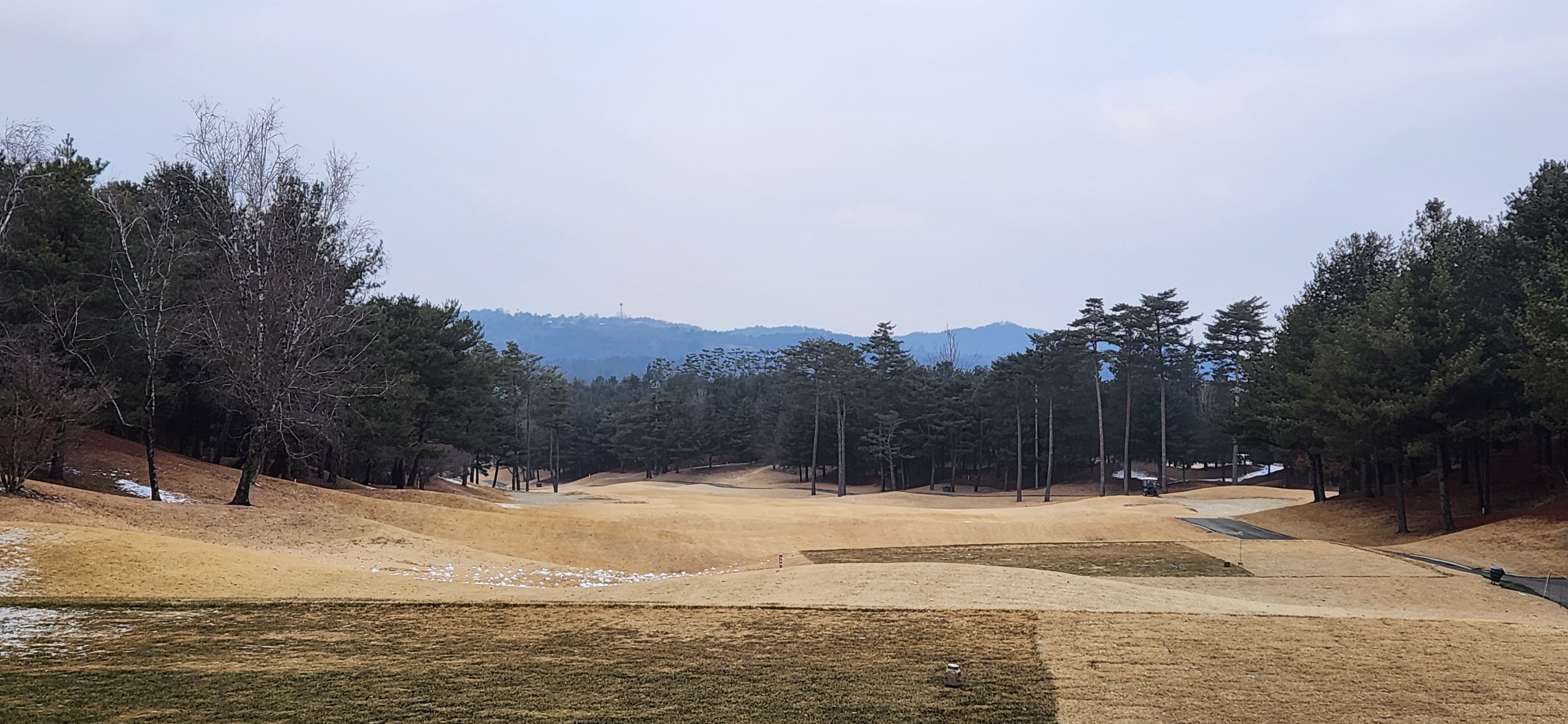 솔모로cc