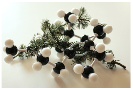 전기적 비대칭성의 신호, 쌍극자 모멘트 완전 정복