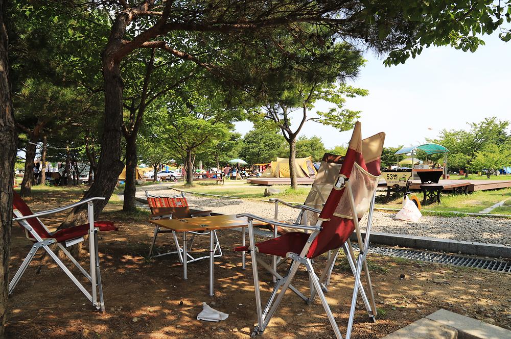 레전드 캠핑장 송지호오토캠핑장 소개