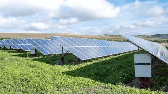 지금 투자해도 될까? 경제 회복 시기 노리는 수익 전략