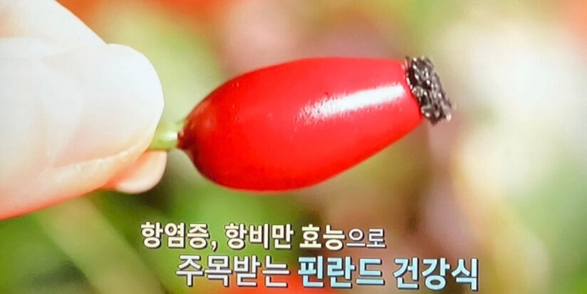로즈힙 효능 7가지와 먹는 법 및 부작용