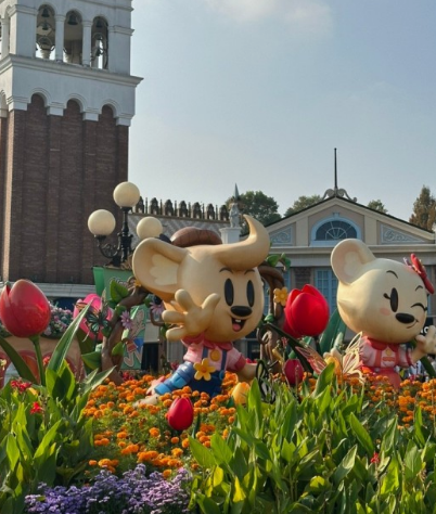 에버랜드 큐패스 패키지 구입