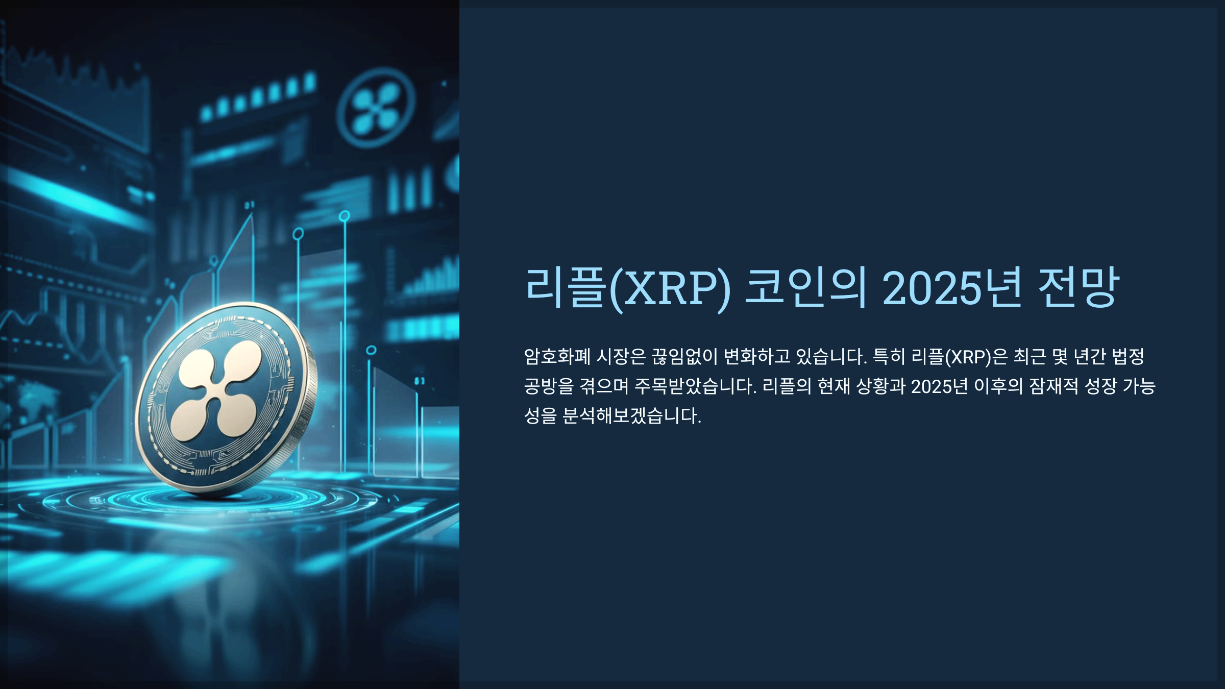 리플(XRP) 코인의 2025년 전망