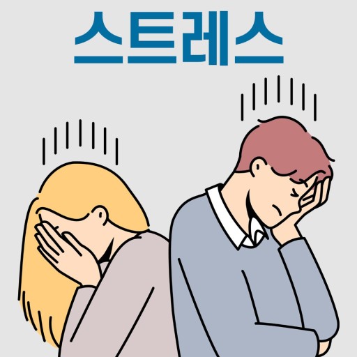 스트레스 취약성