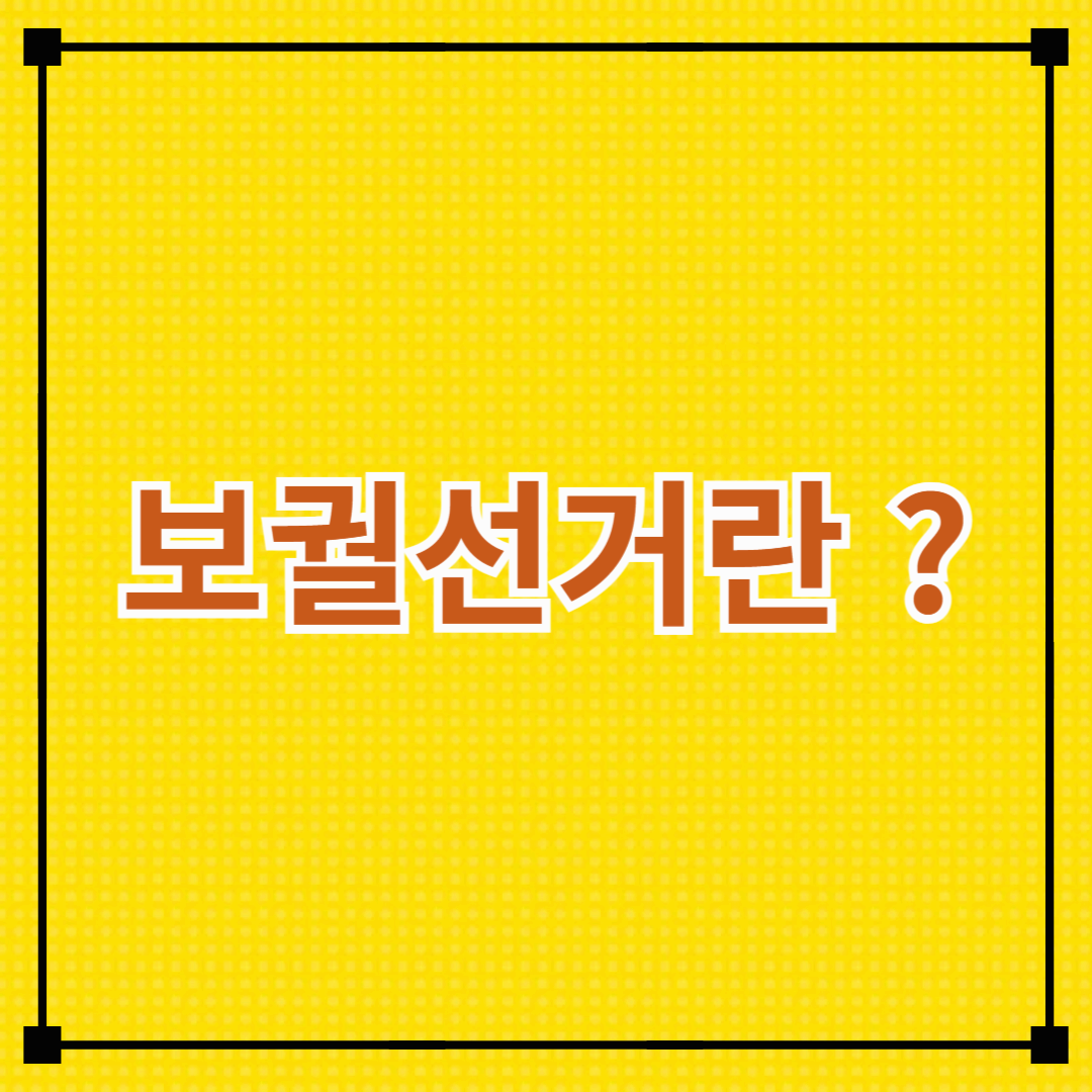 🗳️ “보궐선거가 뭐예요?”