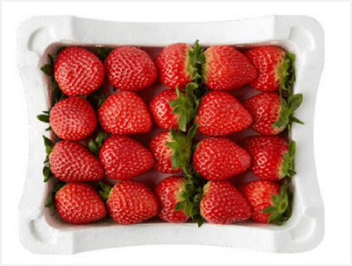 농할상품권 사용처 및 구매 (9월) 