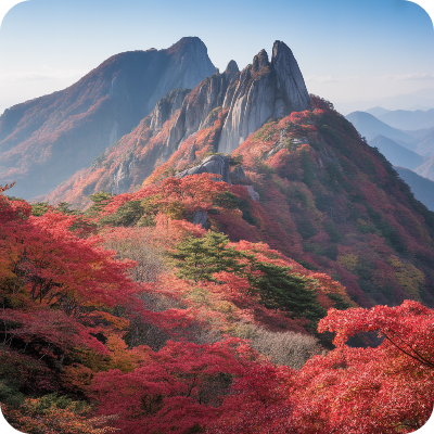 지리산 피아골 단풍축제 단풍절정시기 이미지