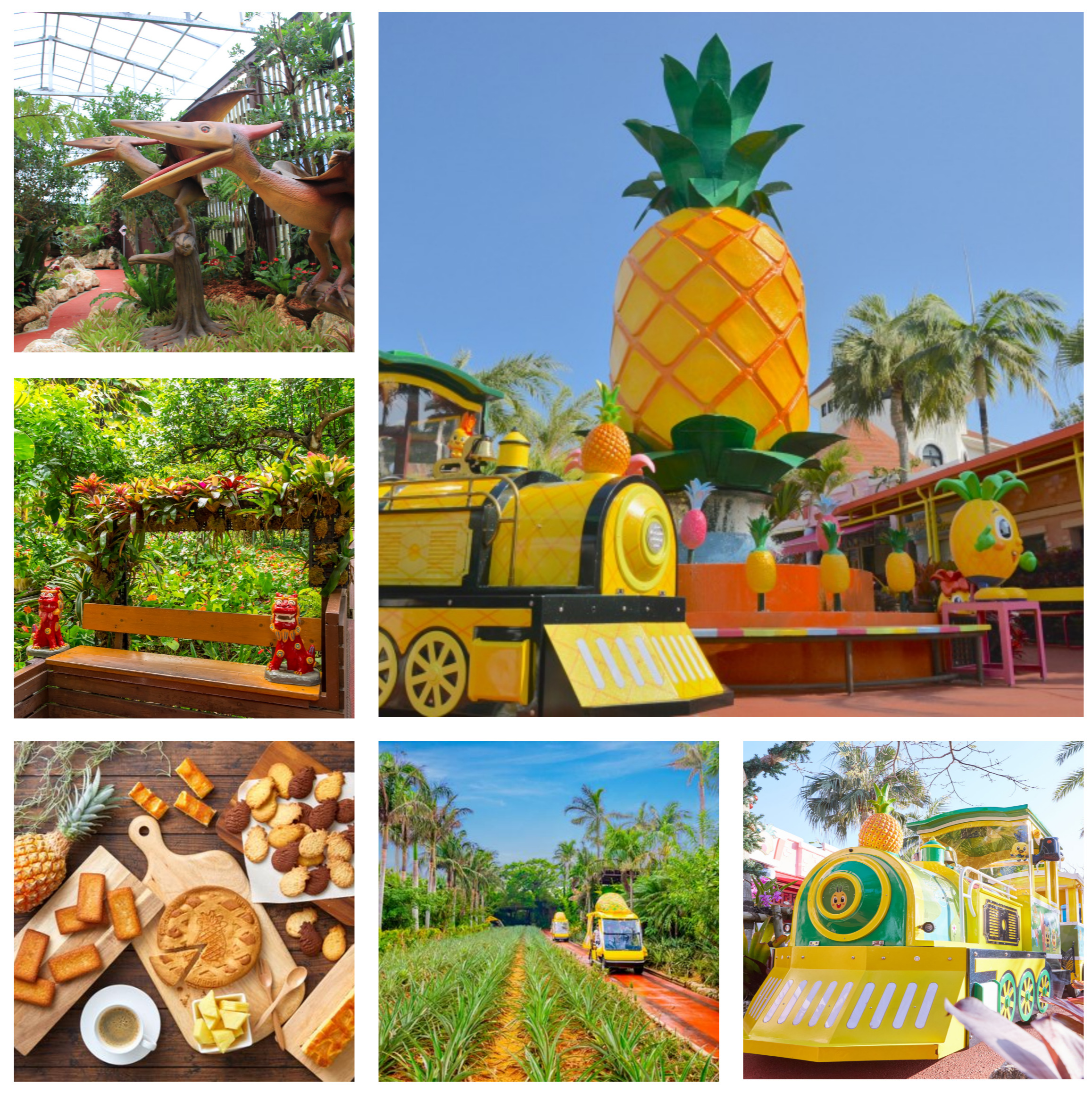 Nago Pineapple Park
