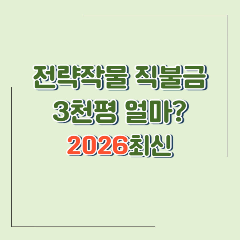 2026 전략작물 직불금 총 수령액 계산|논 3,000평 기준 얼마 받을까?