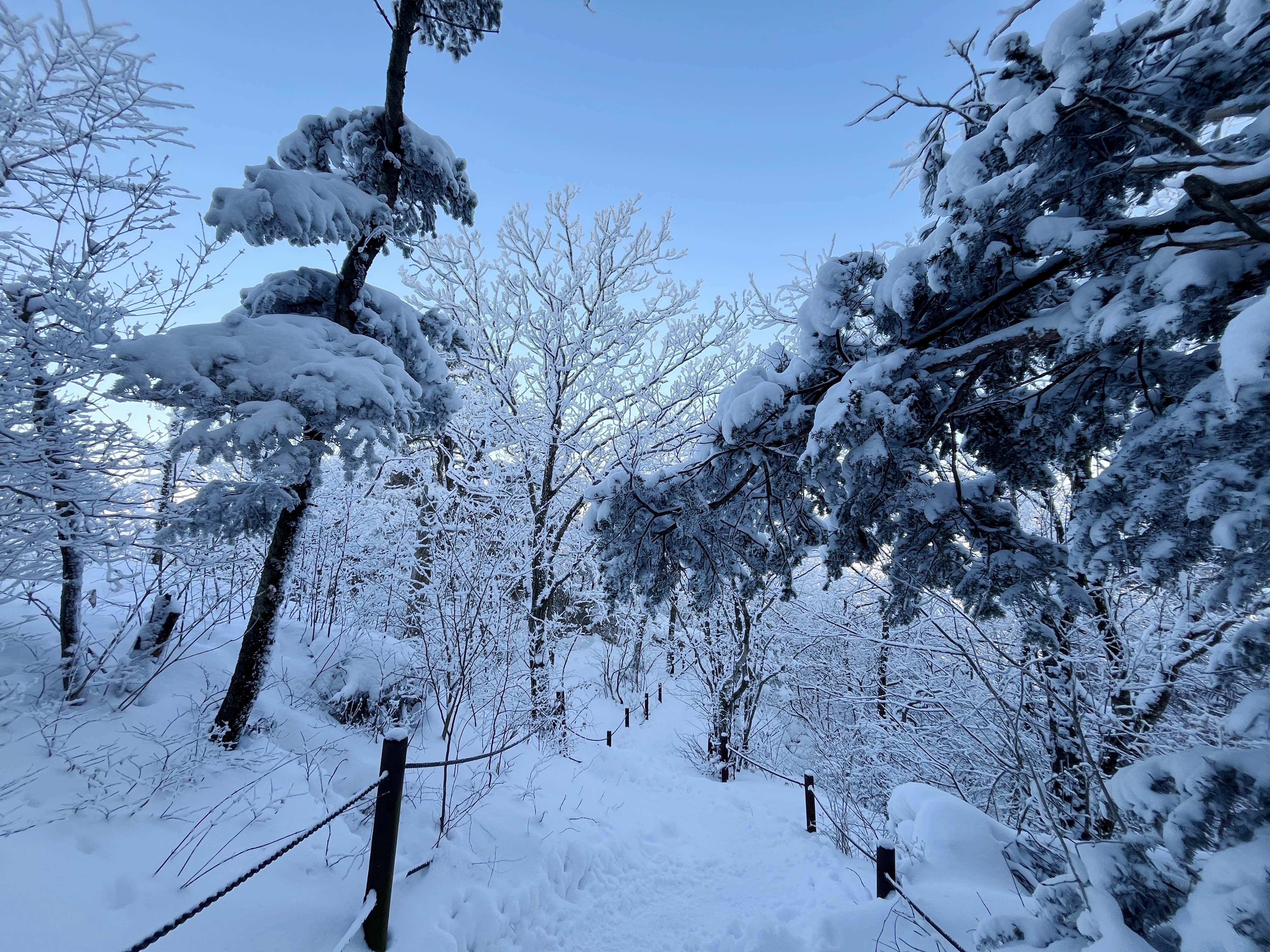 태백산