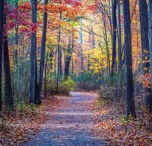 서울 지하철 근교 숲길 트레킹 코스 추천 TOP 5