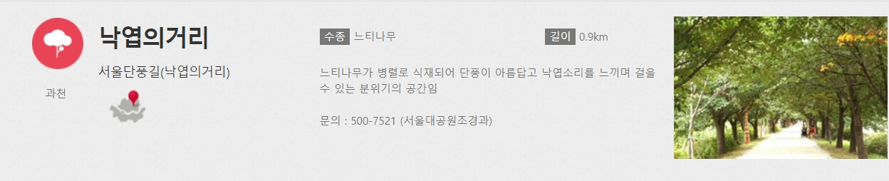 서울대공원 낙엽의거리