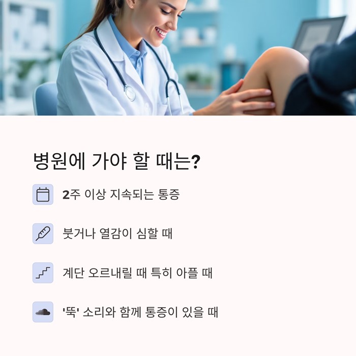 무릎 통증에 좋은 운동&amp;#44; 음식&amp;#44; 약초 총정리 요약 이미지