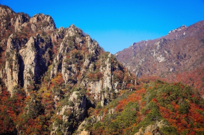 설악산-케이블카-사전-예약-불가!-현장-구매-방법&amp;#44;-요금&amp;#44;-운영시간