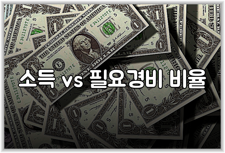 소득 vs 필요경비 비율