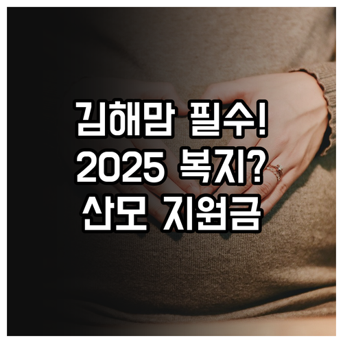 김해시 출산 가정 필수 복지 2025..