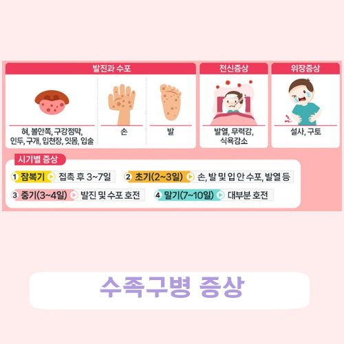 수족구병 증상