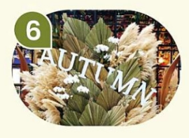 코스모스축제 고양가을꽃축제 예매, 주차장