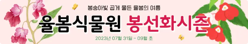 율봄식물원 봉선화 시즌