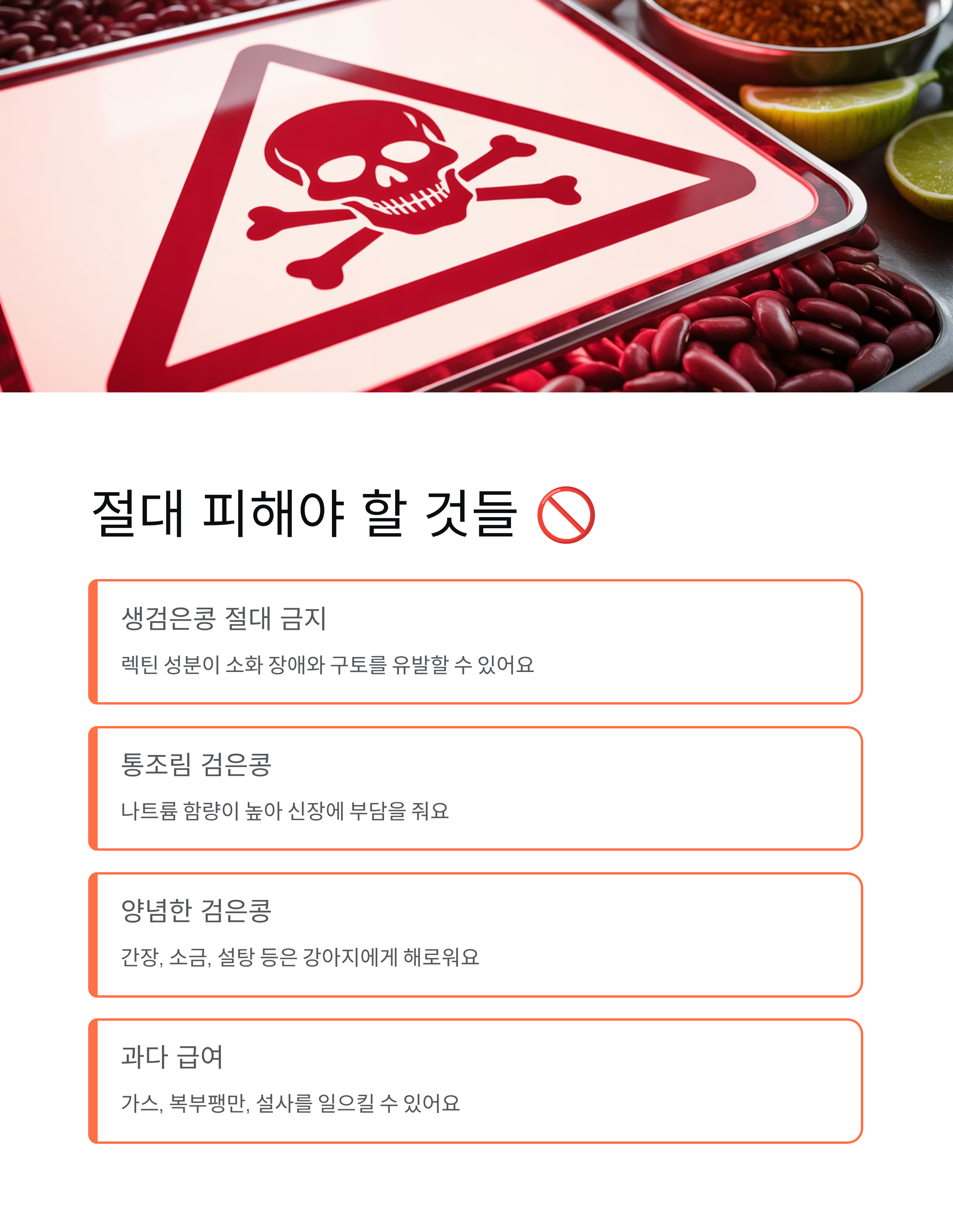 강아지 검은콩 🐕 급여량·효능·주의사항 완벽 정리!