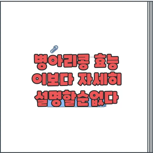 병아리콩 효능 이보다 자세히 설명할순없다